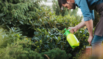 La importancia de cuidar tu jardín en los meses más fríos