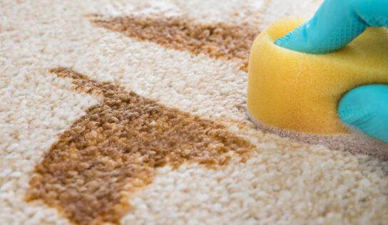 Elimina manchas y olores de las alfombras
