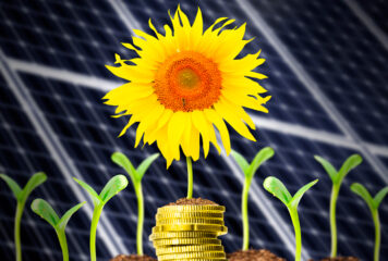 ¿Cuánto se puede ahorrar con las placas solares?