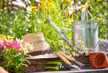 Limpieza de primavera en el jardín