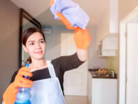 Tipos de servicio doméstico: servicio interno y externo