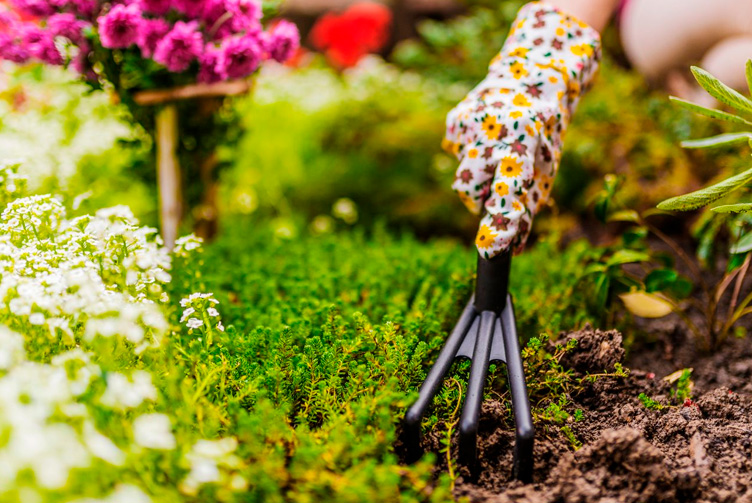 Preparando el terreno: el corazón del jardín