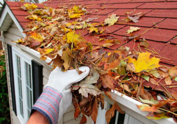 La limpieza de canalones y otros servicios esenciales: guía rápida de precios