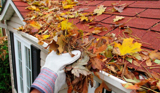 La limpieza de canalones y otros servicios esenciales: guía rápida de precios