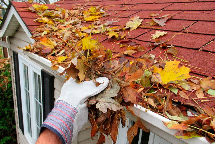 La limpieza de canalones y otros servicios esenciales: guía rápida de precios